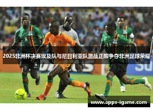 2025非洲杯决赛埃及队与尼日利亚队激战正酣争夺非洲足球荣耀